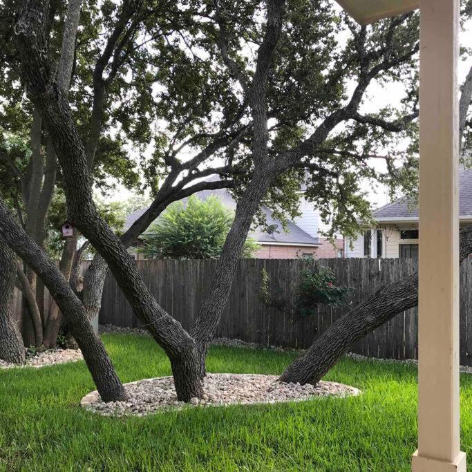 Cozy & Spacious 3 Bed Home North San Antonio - Stone Oak Area Bulverde Exteriér fotografie